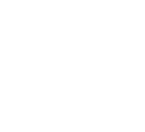 Logo weiß